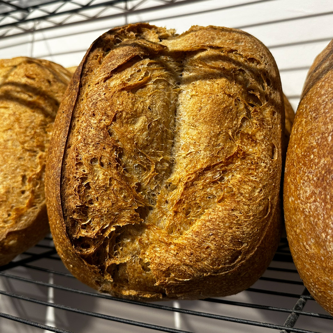 Pan de Campaña (Pain de Campagne)-Catálogo de panes de la Panaderia La Mimosa Bread en Mutilva